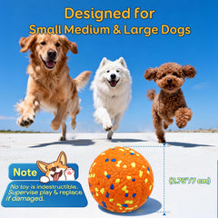 Kimee dog balls orange ball visible in snow for training.