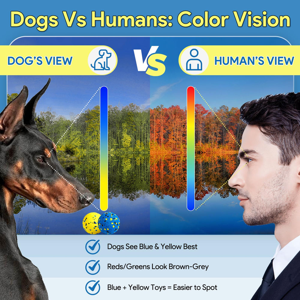 Kimee non-toxic materials ensure safer chewing for dogs