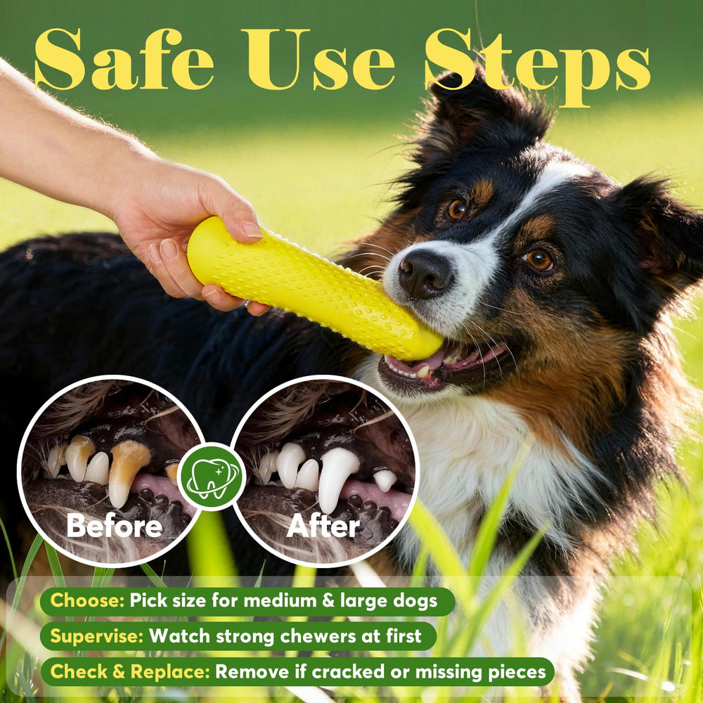 Kimee interactive tug fetch toy for active dogs