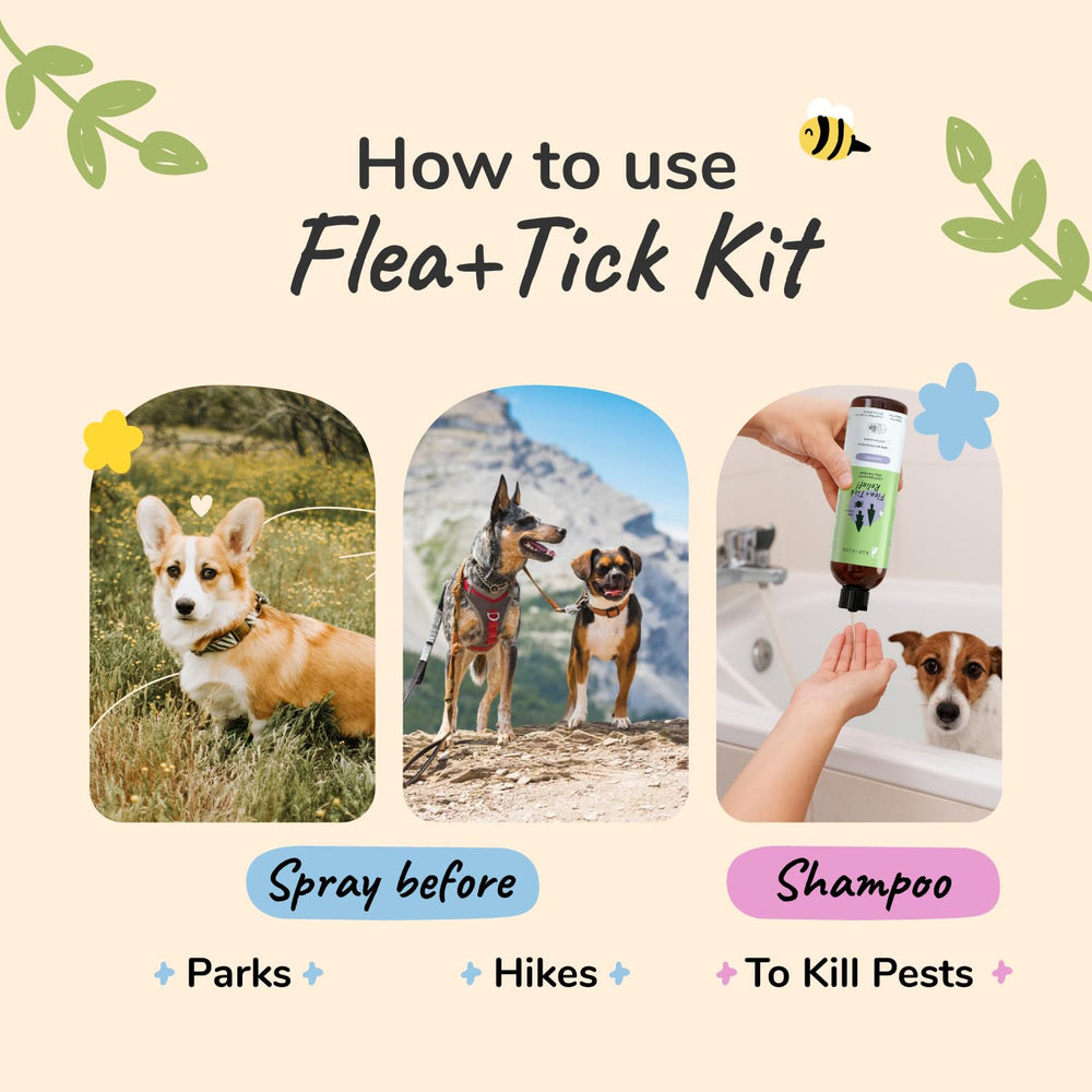 kin+kind dog and puppy using product safely on 12 weeks or older.