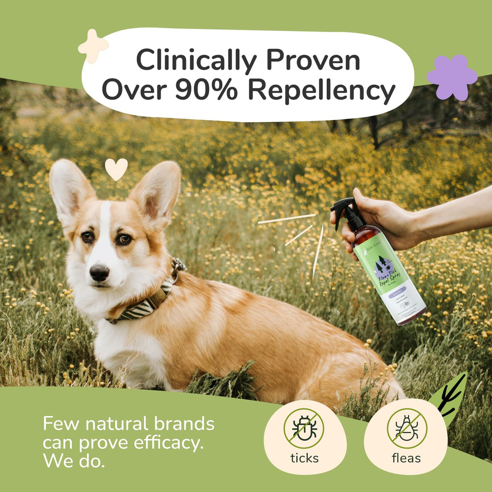 kin+kind Dog Shampoo foamy lather primes a calm bath to remove fleas and ticks.