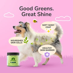 kin-kind organic ingredients panel highlights whole-food nutrition for skin support.