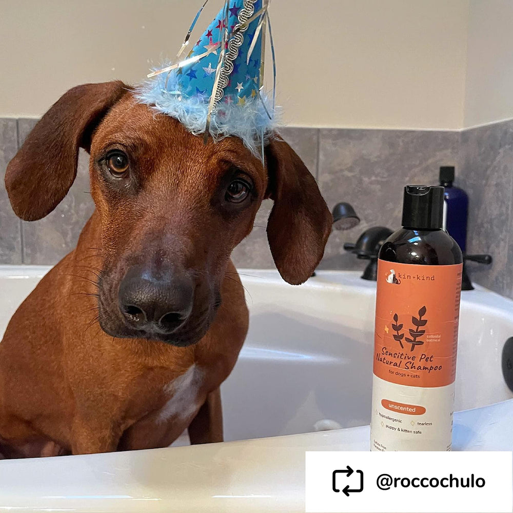 Kin-kind vet-formulated care supports everyday grooming for pets.