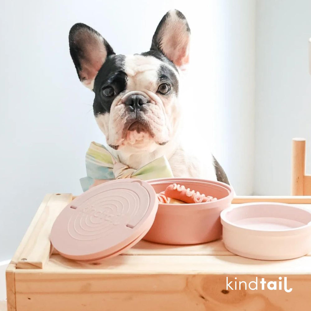 KindTail fits dogs 25-65 lbs for on-the-go dining.