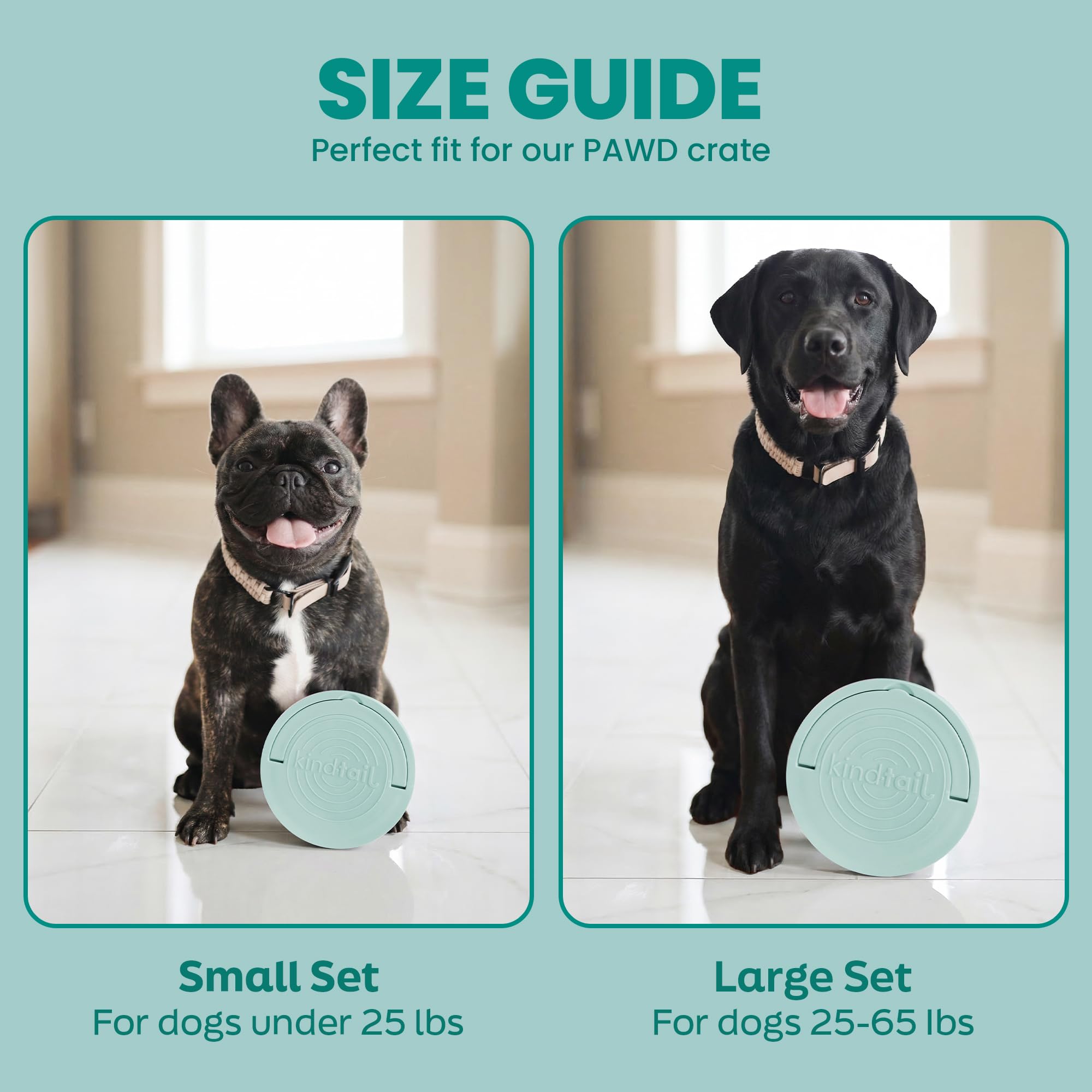 KindTail microwave-safe bowls simplify reheating during travel