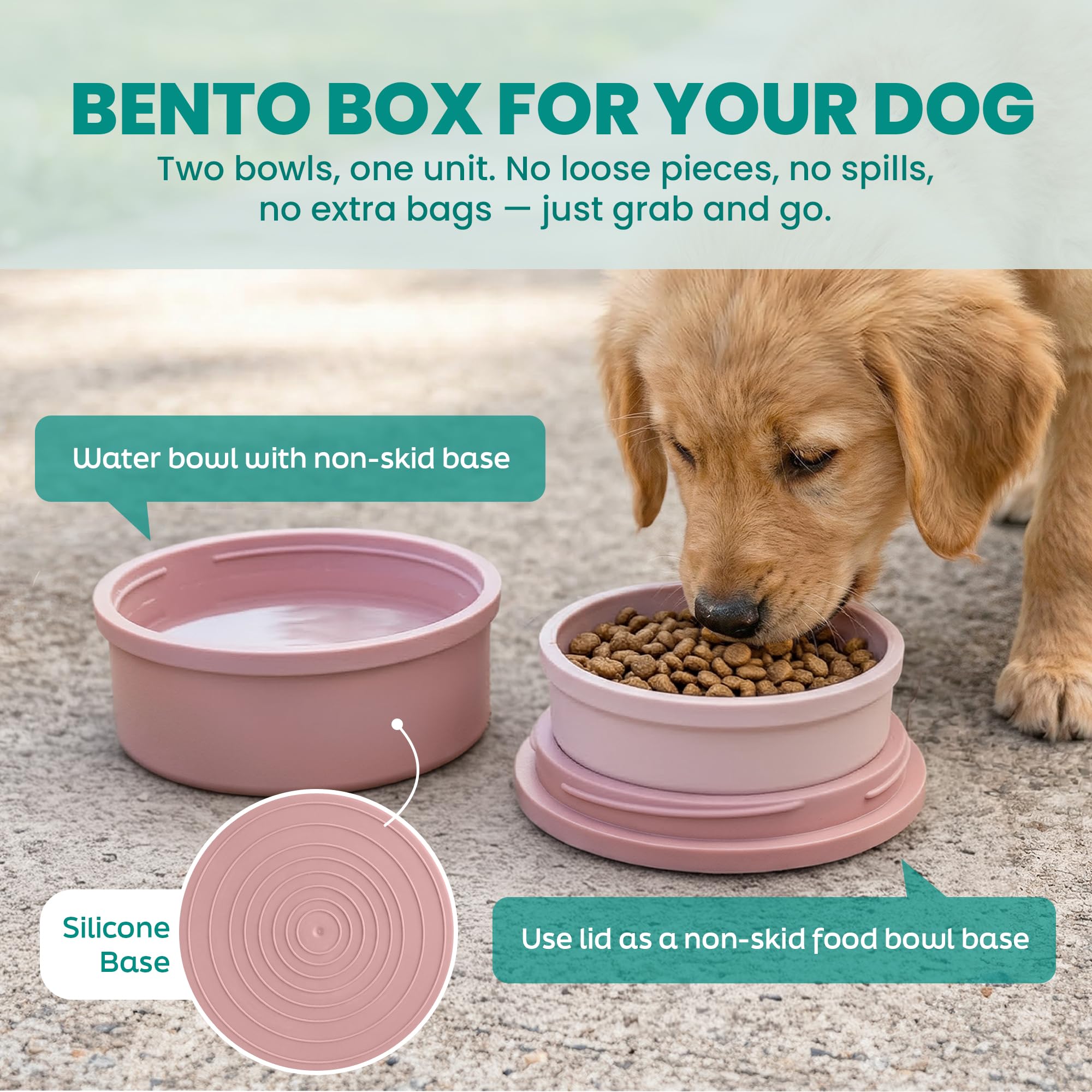 Outer water bowl holds 20 oz for on-the-go hydration.