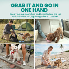 KindTail outer-water-bowl with non-skid-base on a travel surface
