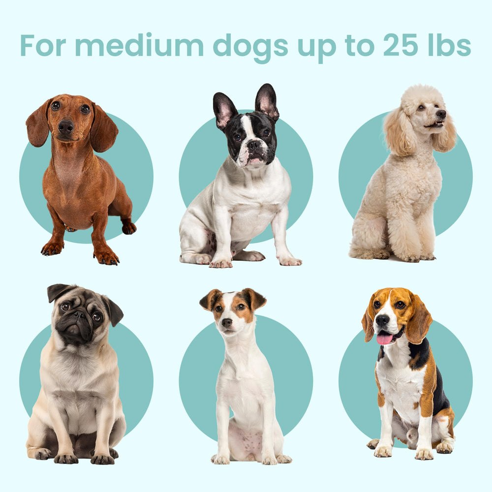 KindTail PAWD crate folded flat for easy storage and travel portability.