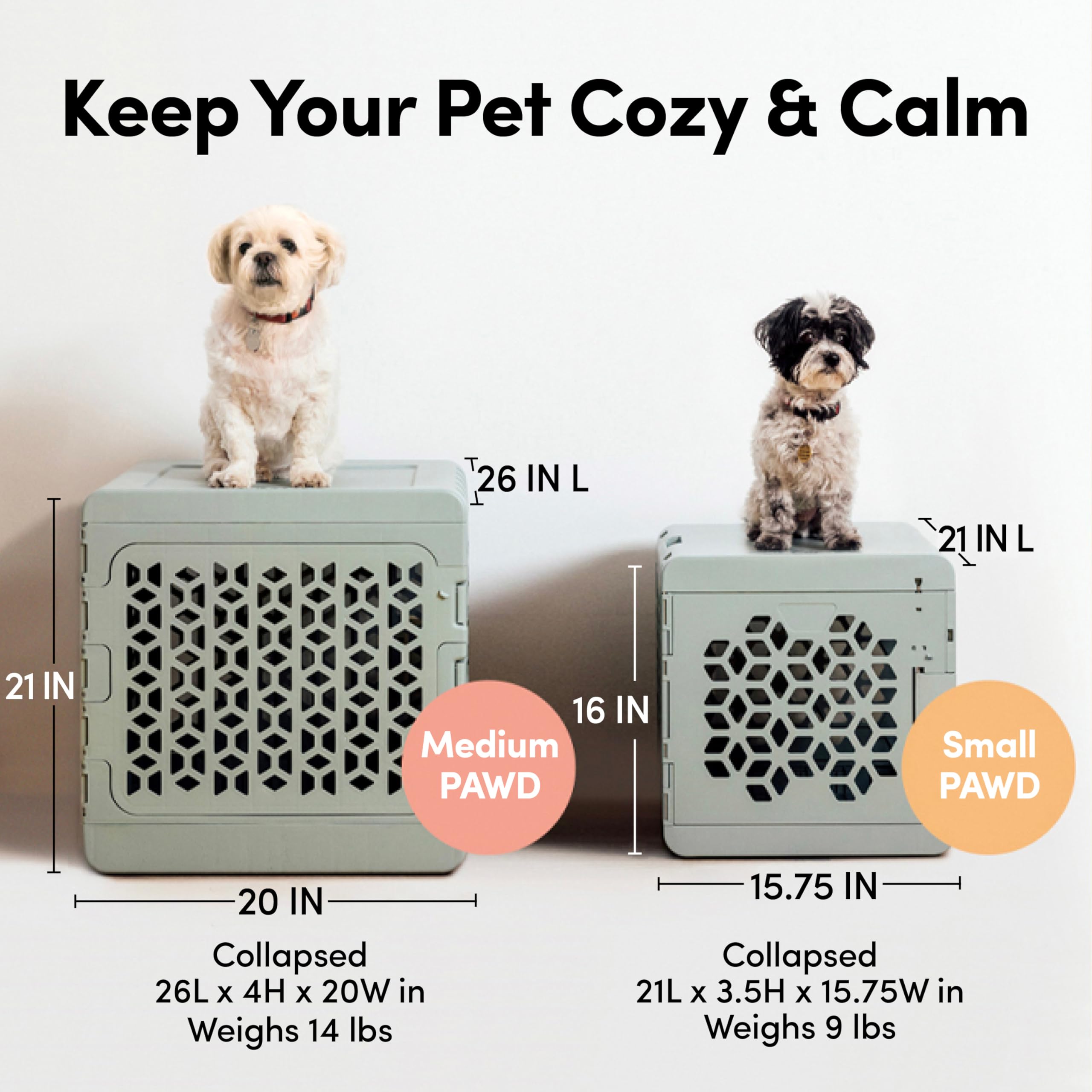 KindTail PAWD crate interior with pad highlights comfortable space for pets.
