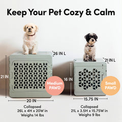 KindTail PAWD crate interior with pad highlights comfortable space for pets.