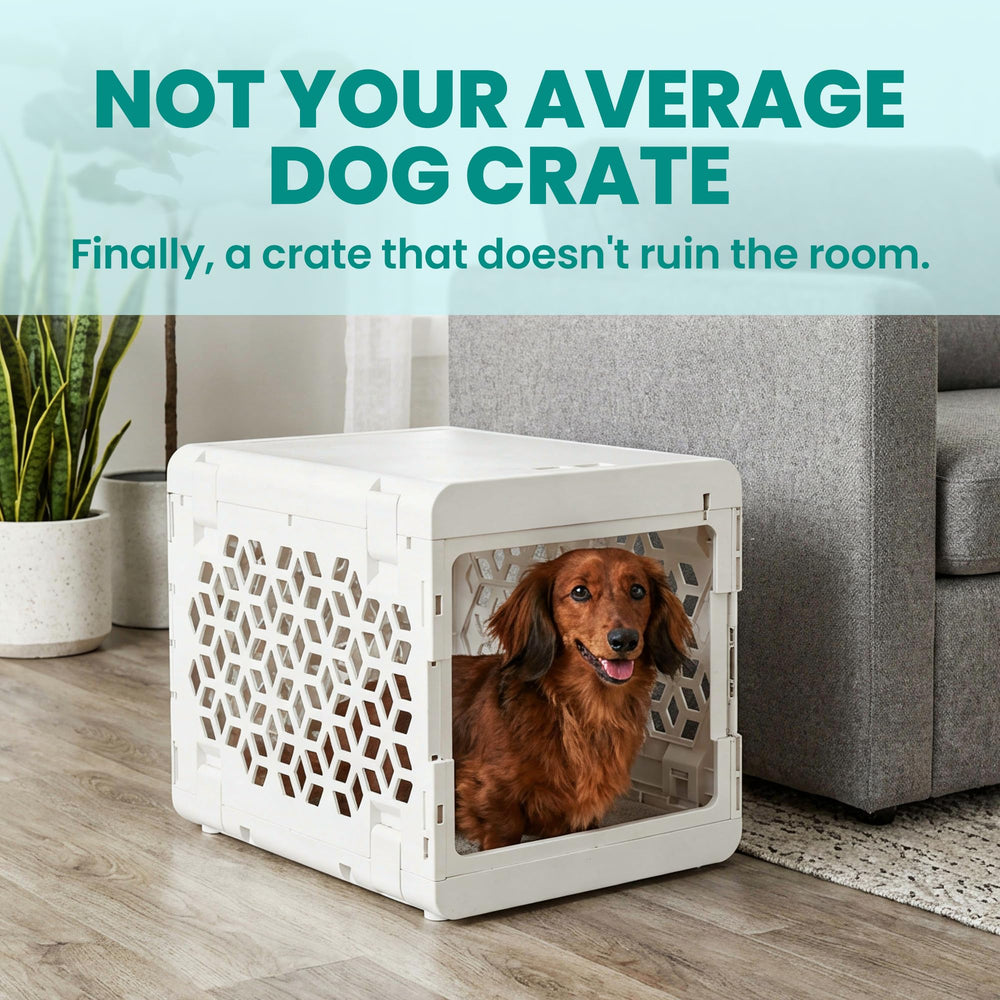 KindTail PAWD dual-function door can stay open or lock as needed.