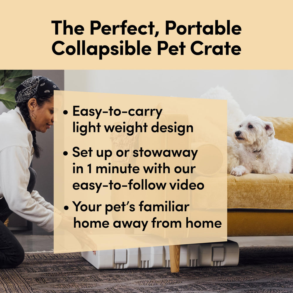 KindTail PAWD modern design blends with decor while keeping pets secure.
