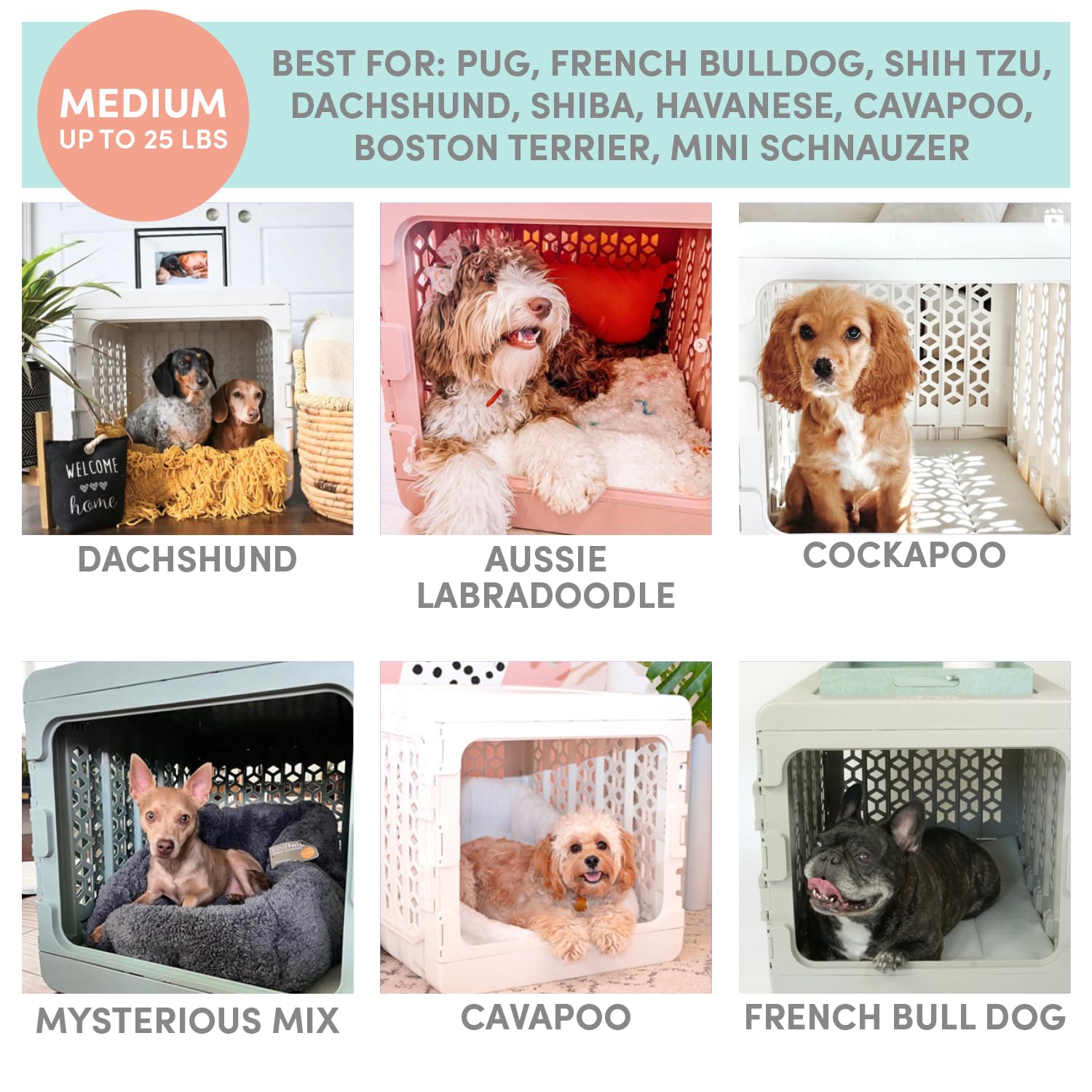 KindTail PAWD size guide graphic helps buyers pick the right crate.
