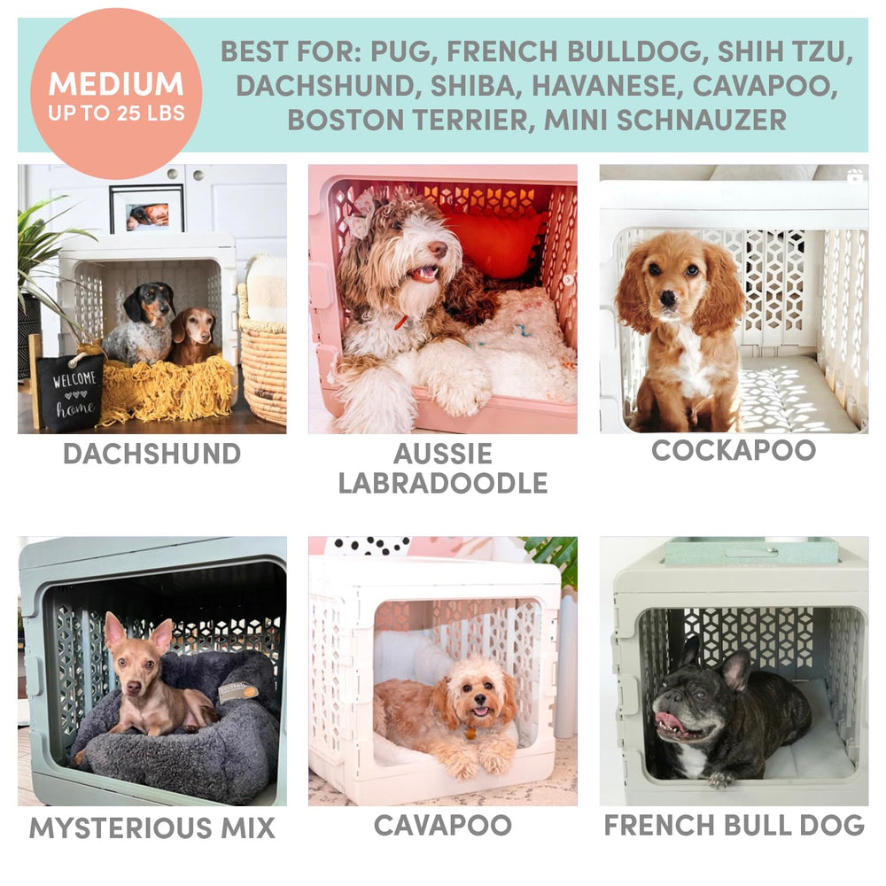 KindTail PAWD size guide graphic helps buyers pick the right crate.