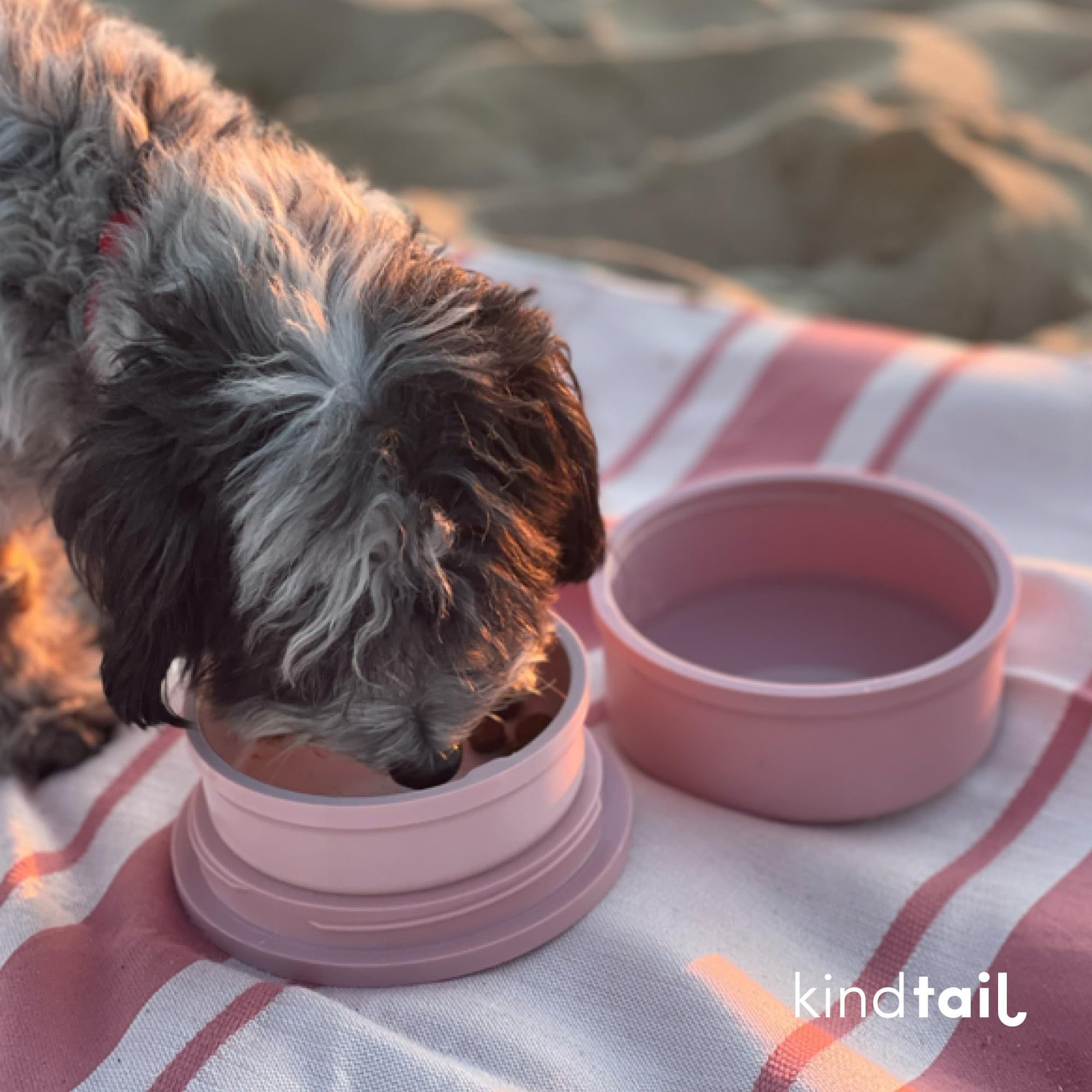 Ideal for park visits, road trips, and daily errands with your dog.
