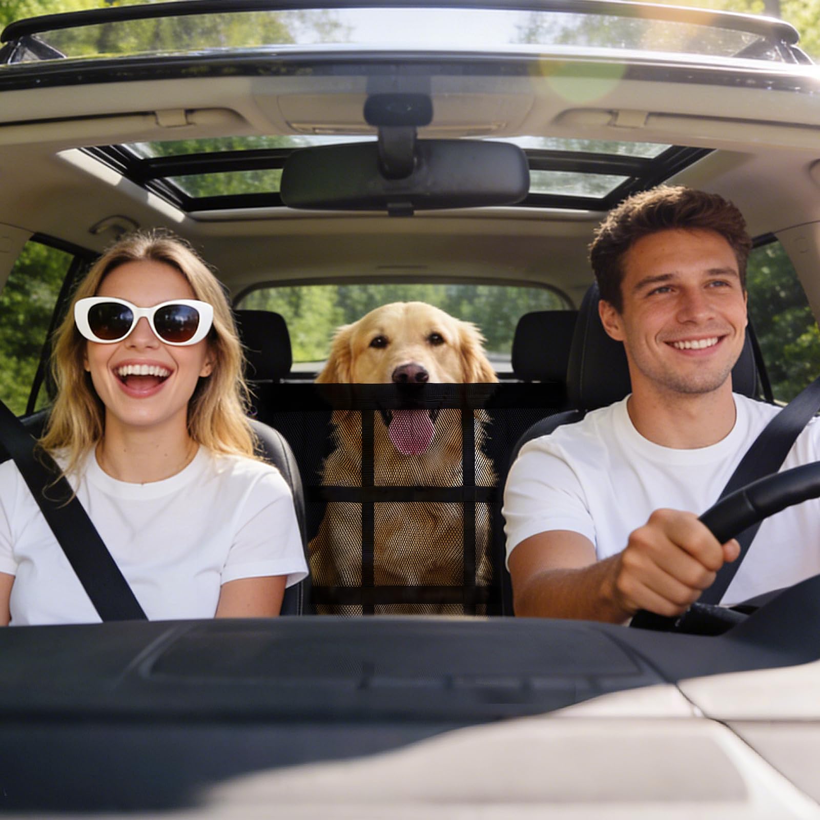 KINETOVOLTA barrier in use demonstrates safe back-seat containment for dogs