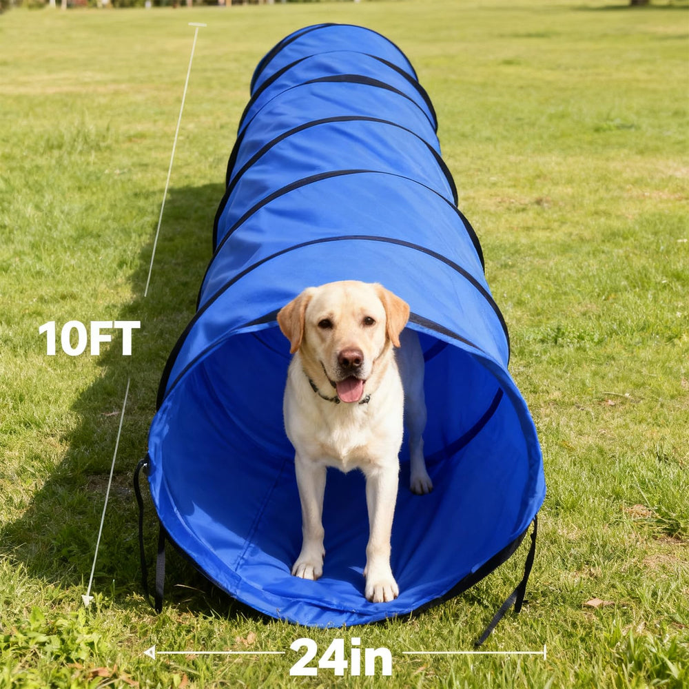 Kinetovolta dog tunnel 24-inch entrance offers easy access for energetic pups.