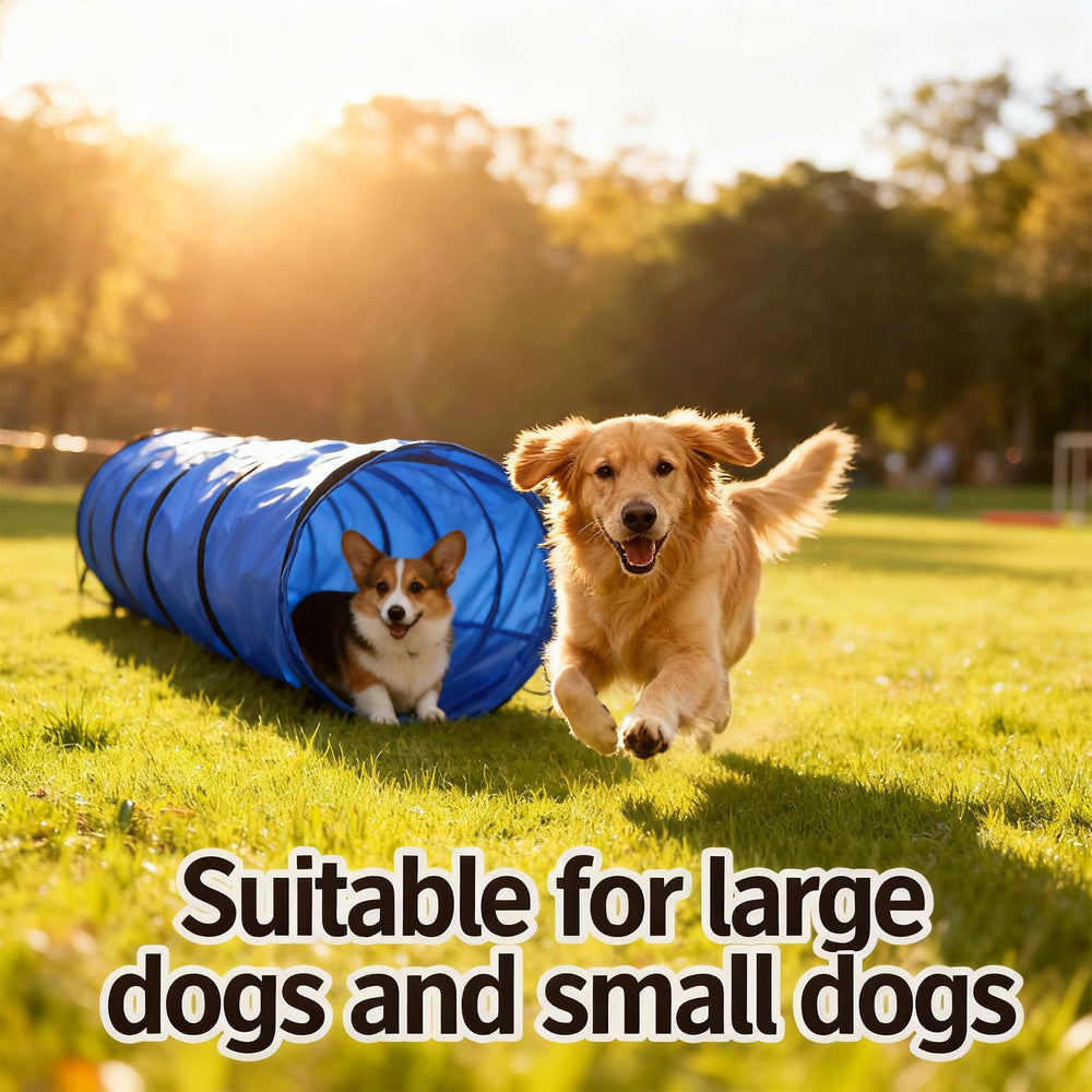 Kinetovolta dog tunnel ground stakes secure it on grass for stable outdoor sessions.