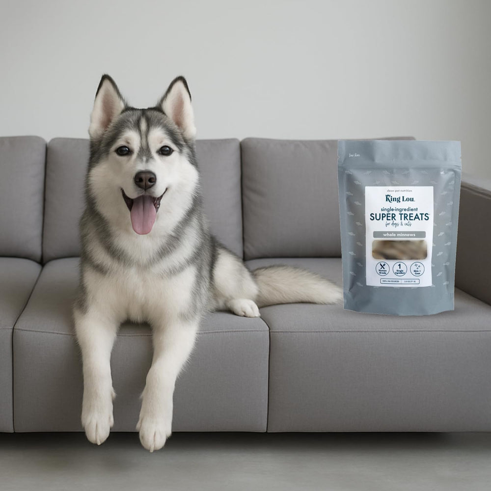 King Lou Minnows ready-to-serve treat suitable for all life stages.