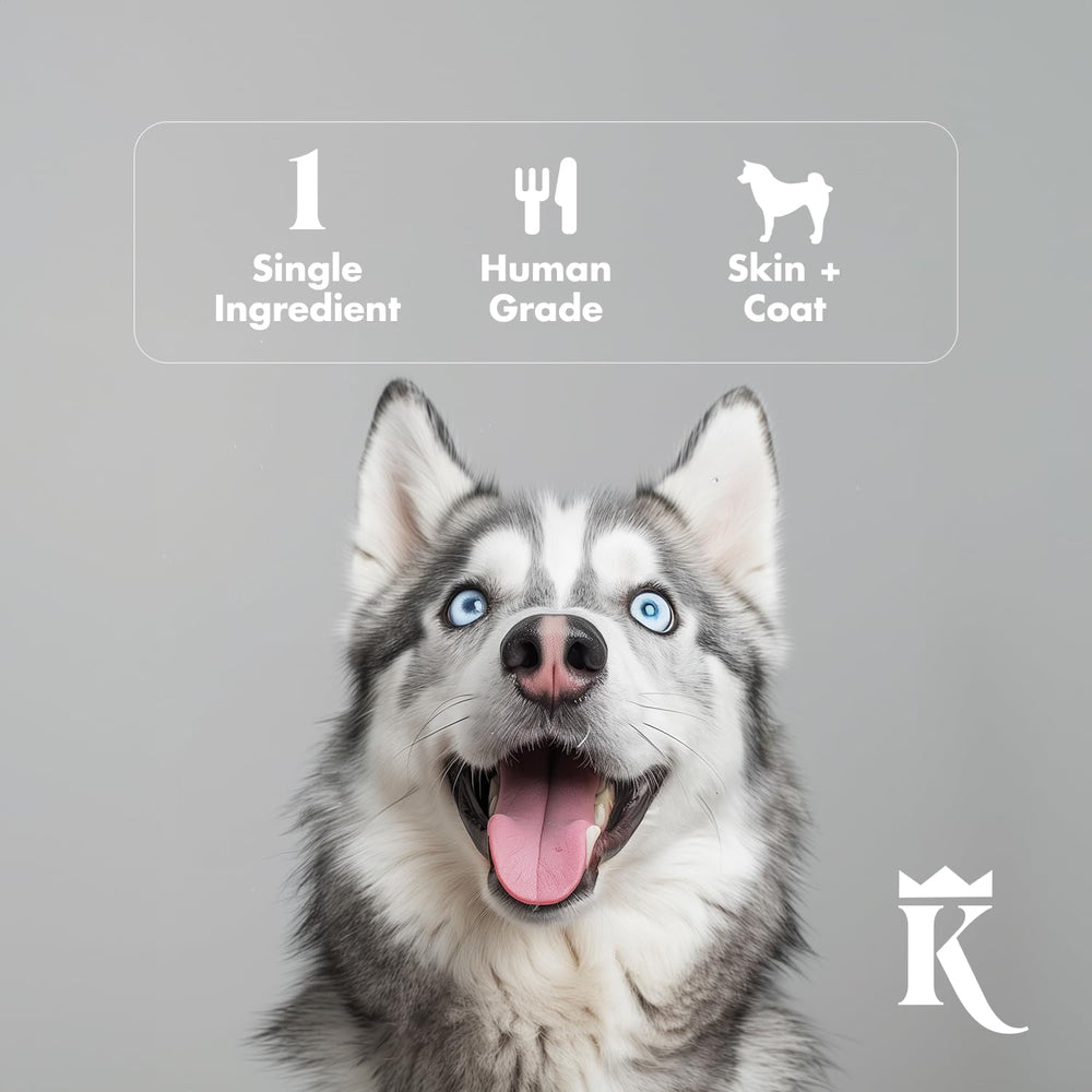 King Lou Minnows USA-sourced ingredients ensure small-batch, responsible pet treats.