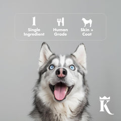 King Lou Minnows USA-sourced ingredients ensure small-batch, responsible pet treats.