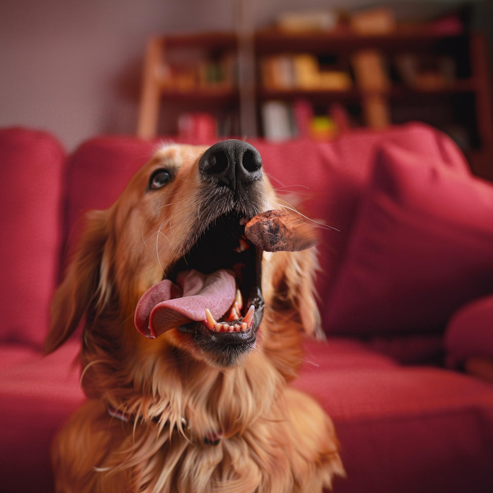 King Lou Pets USA-made label emphasizes local production and quality.