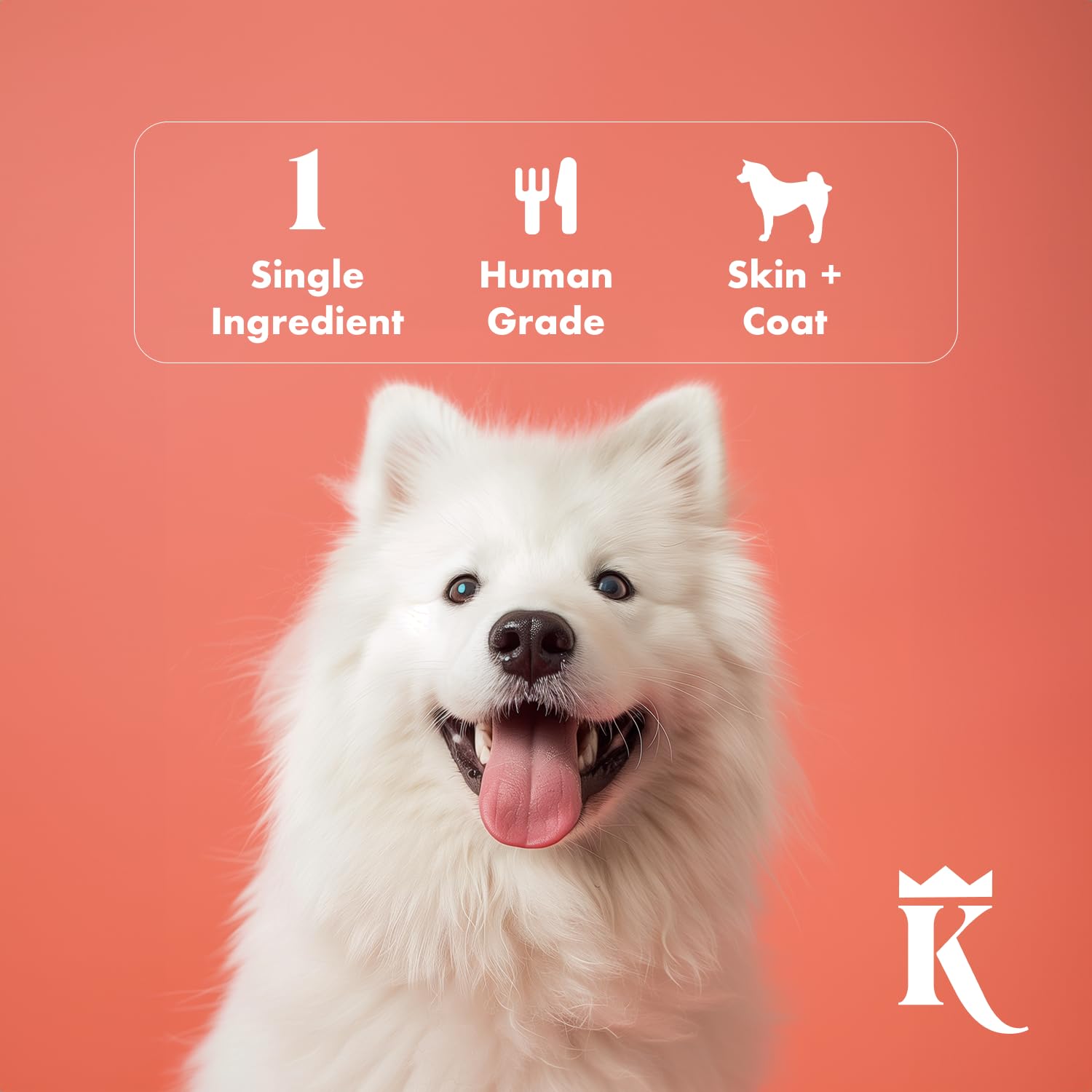King Lou Pets Wild Salmon Bites single-ingredient salmon batch photo
