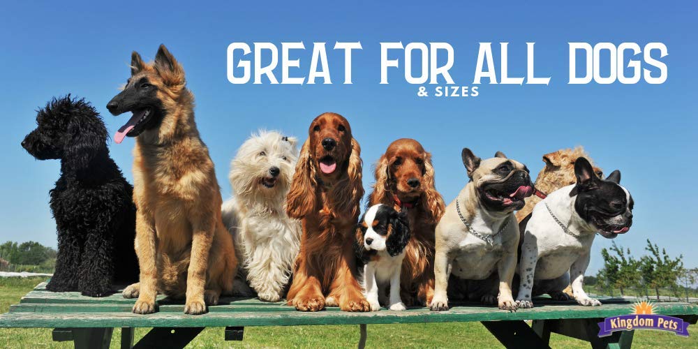Kingdom Pets chicken jerky for large breeds during training session