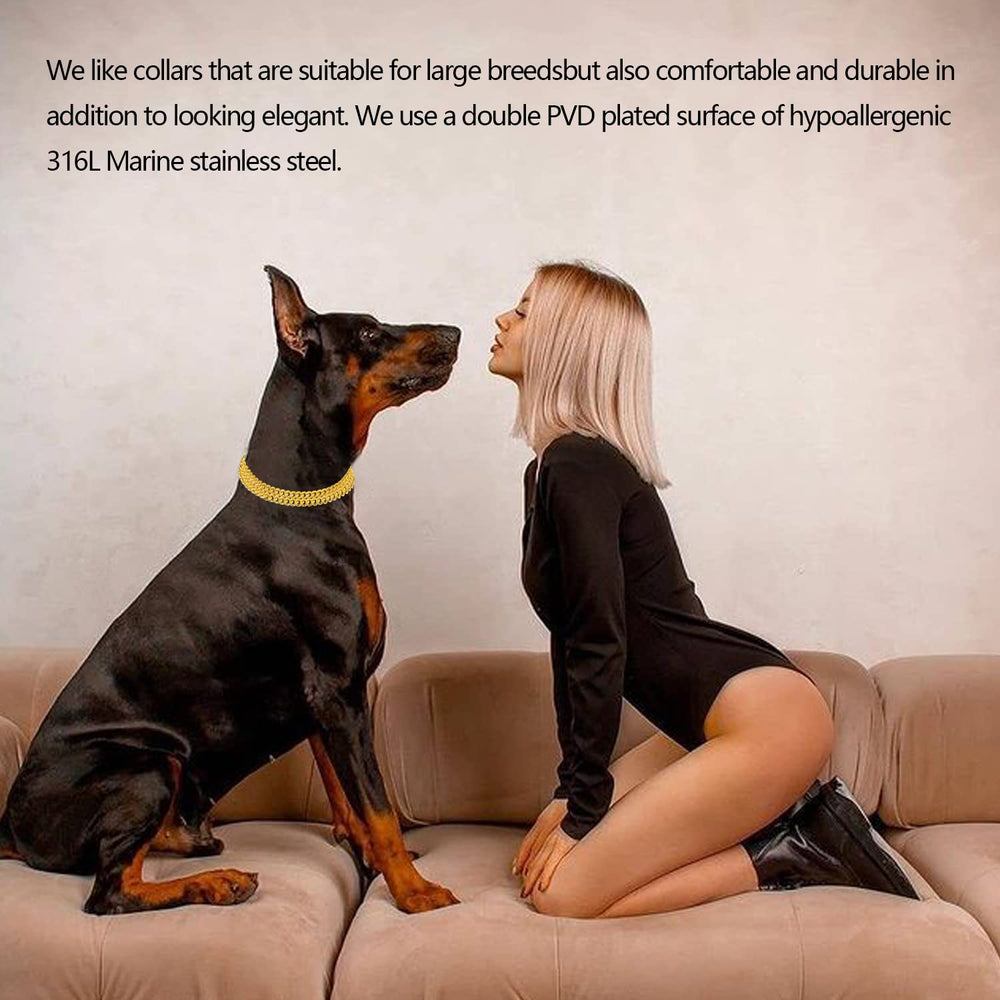 Kingoldogs gold chain collar uses reliable pull-tightening for controlled outdoor use.