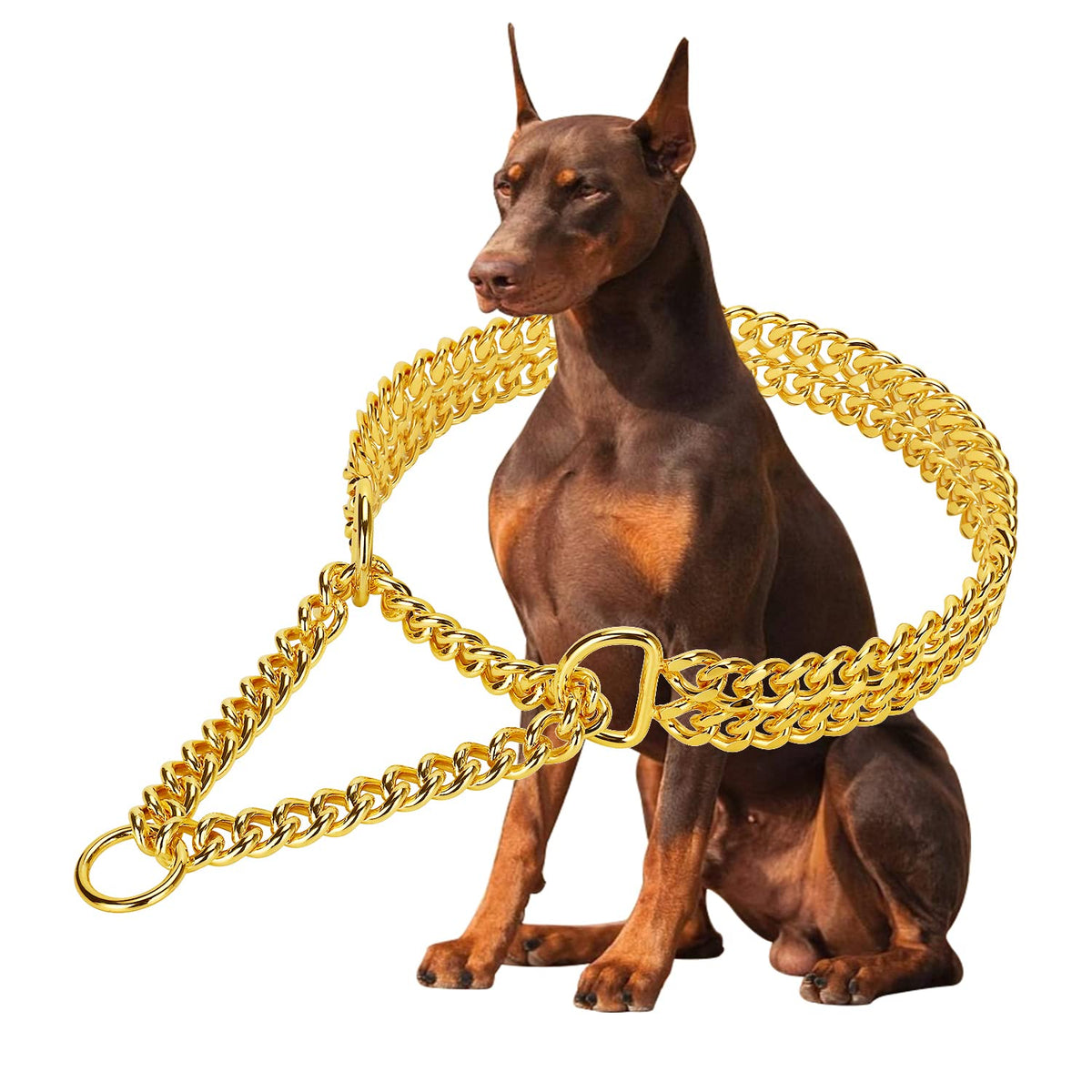 KINGOLDOGS stainless steel 18K gold dog chain collar with lasting shine for daily wear