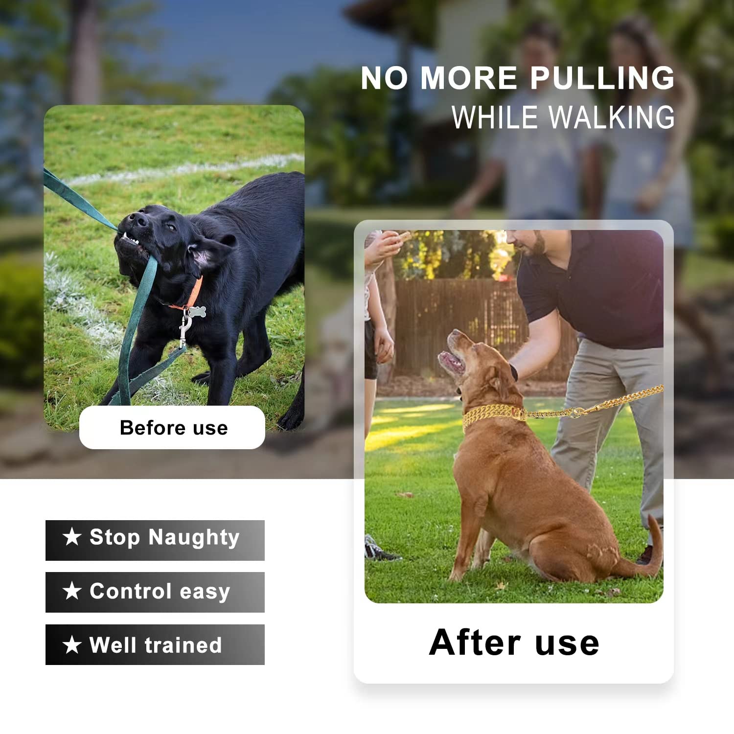 KINGOLDOGS three-color options: gold, black, and silver for versatile styling