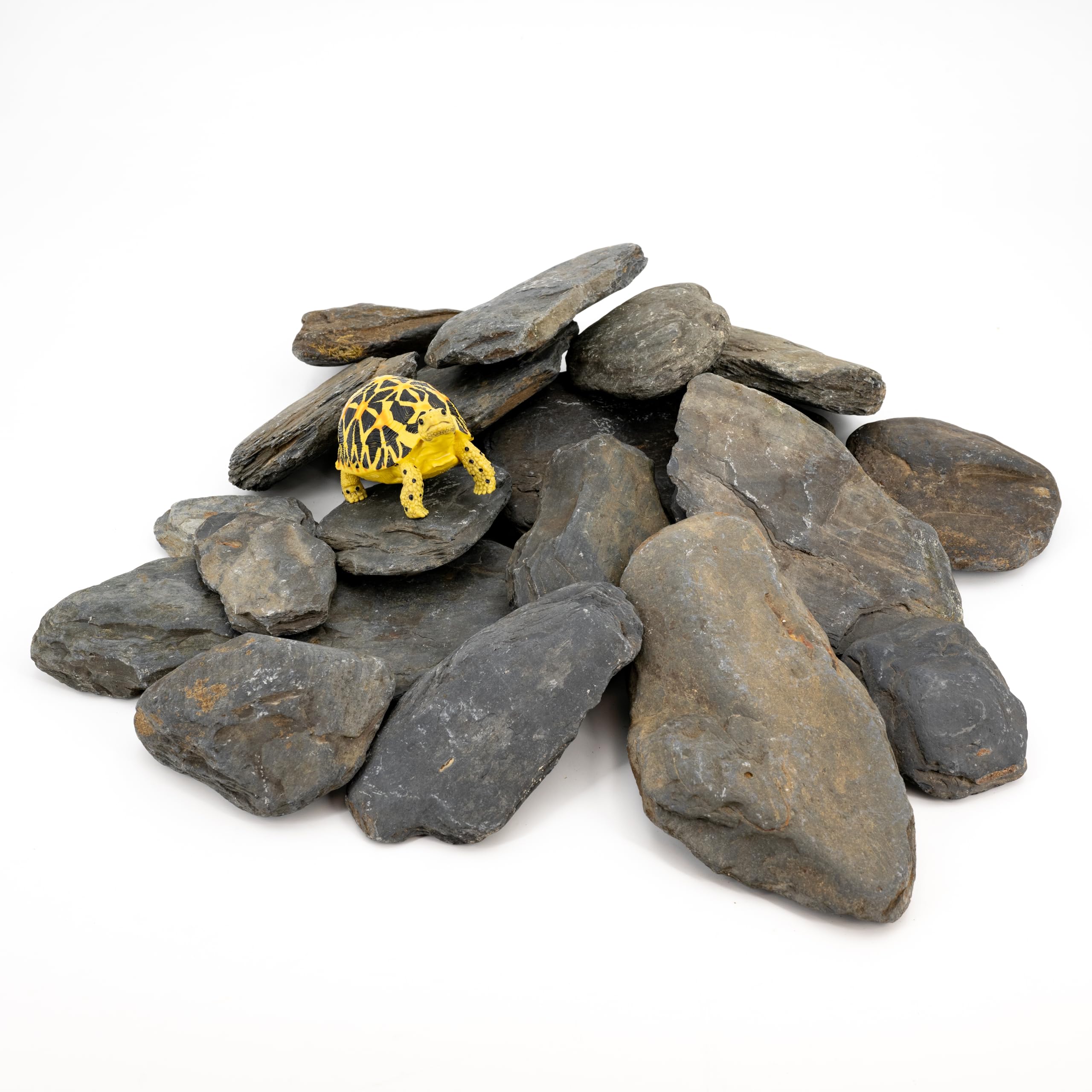 KingRUI natural slate decor enhances aquascapes with authentic texture