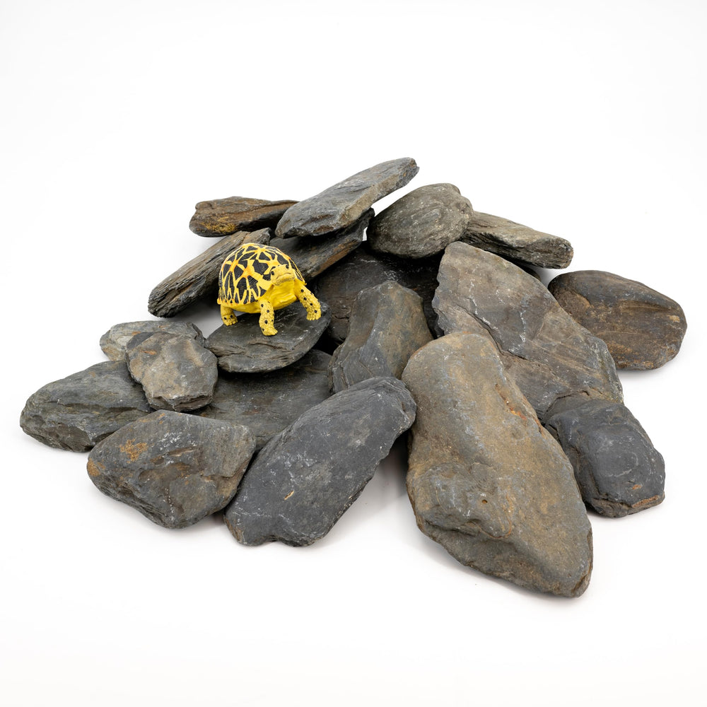 KingRUI natural slate decor enhances aquascapes with authentic texture