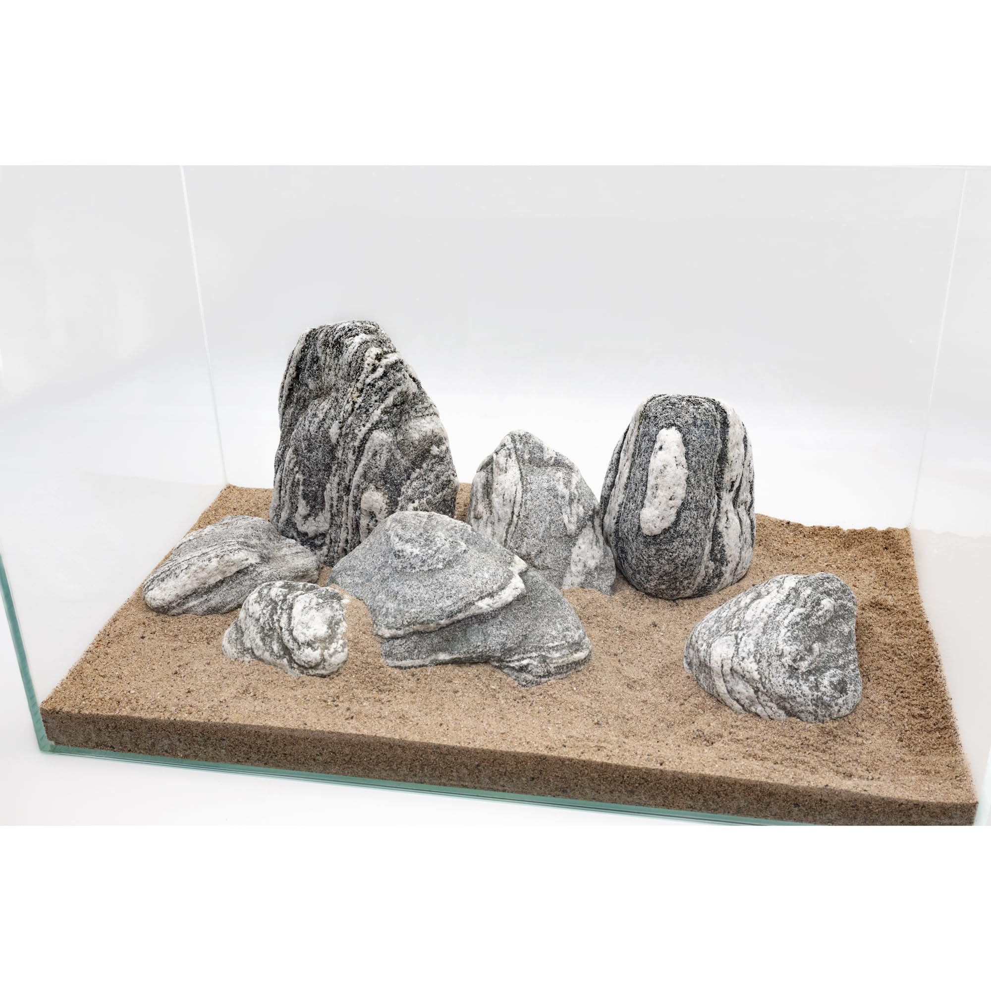 KINGRUI Seiryu stones add depth and contrast to terrarium scenes.
