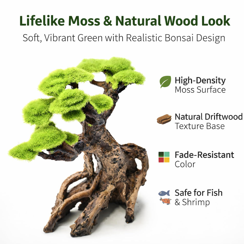 KINGRUI aquascaping bonsai double-tree design adds depth and balance.
