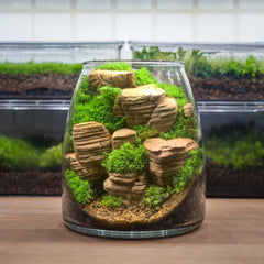 KINGRUI craft rocks enhance DIY projects with authentic stone texture.