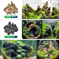 KINGRUI dragon stones ideal for fairy gardens and tabletop mini landscapes.