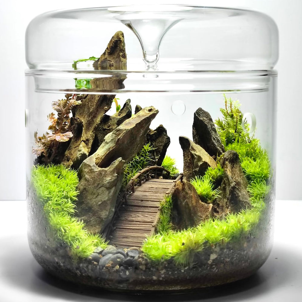KINGRUI dragon stones suitable for nano aquascapes and tiny dioramas.
