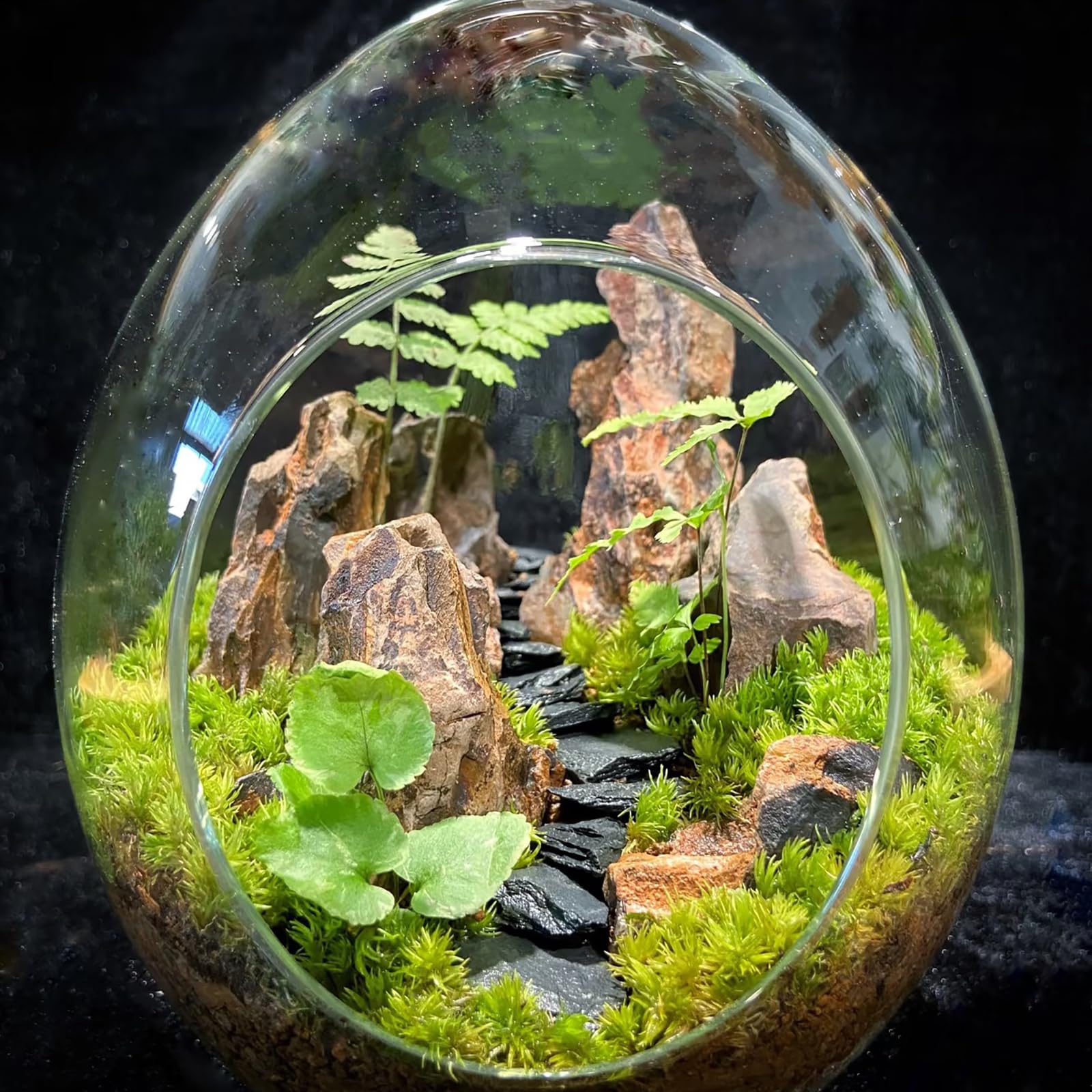 KINGRUI dragon stones enhance drainage in planters and succulent setups.