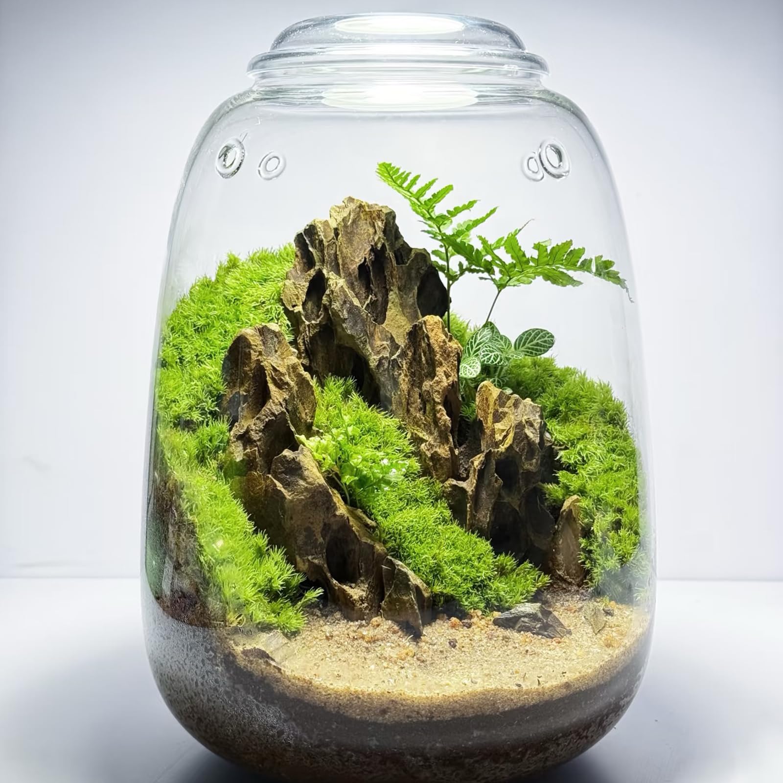KINGRUI dragon stones add natural texture to bonsai and terrarium accents.