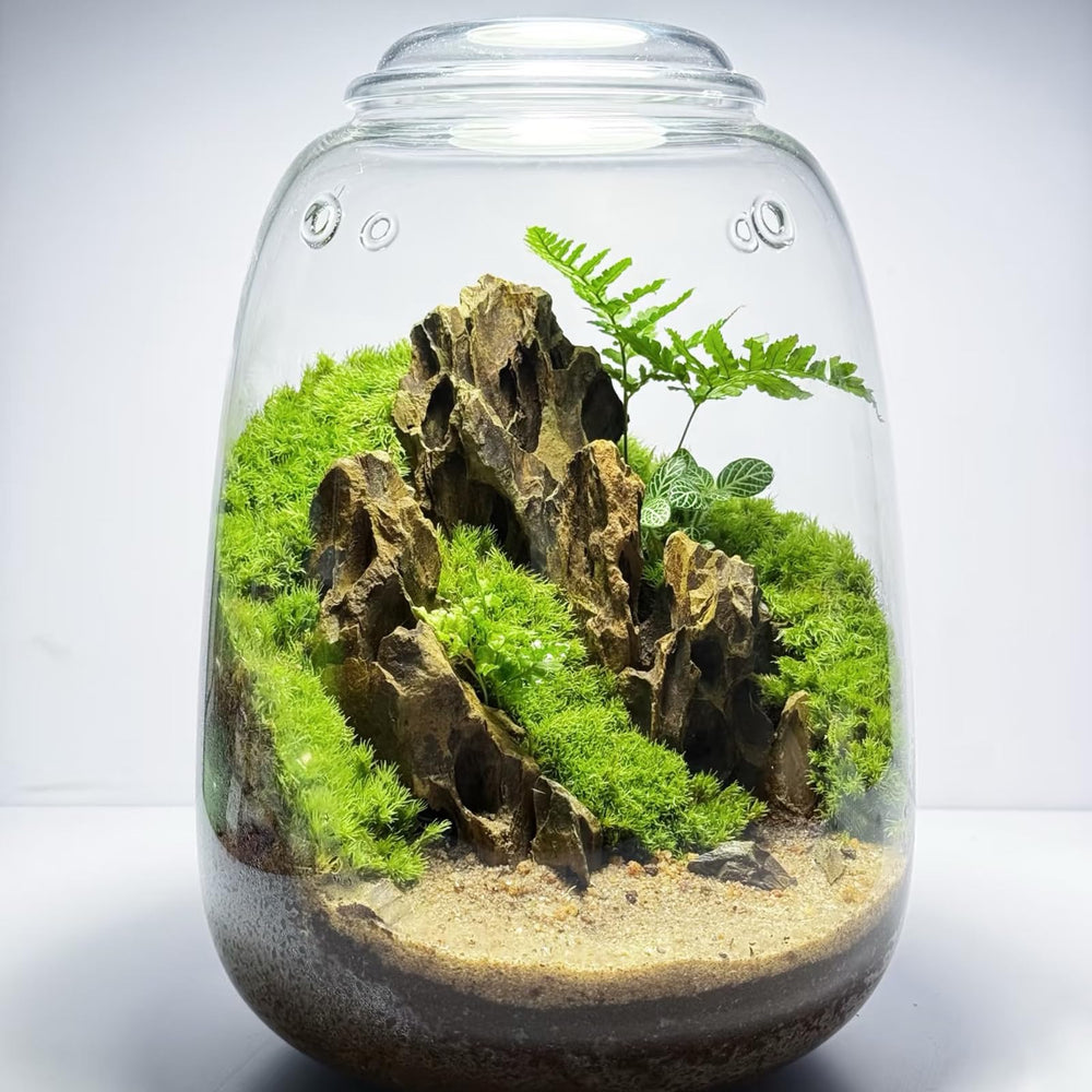 KINGRUI dragon stones add natural texture to bonsai and terrarium accents.