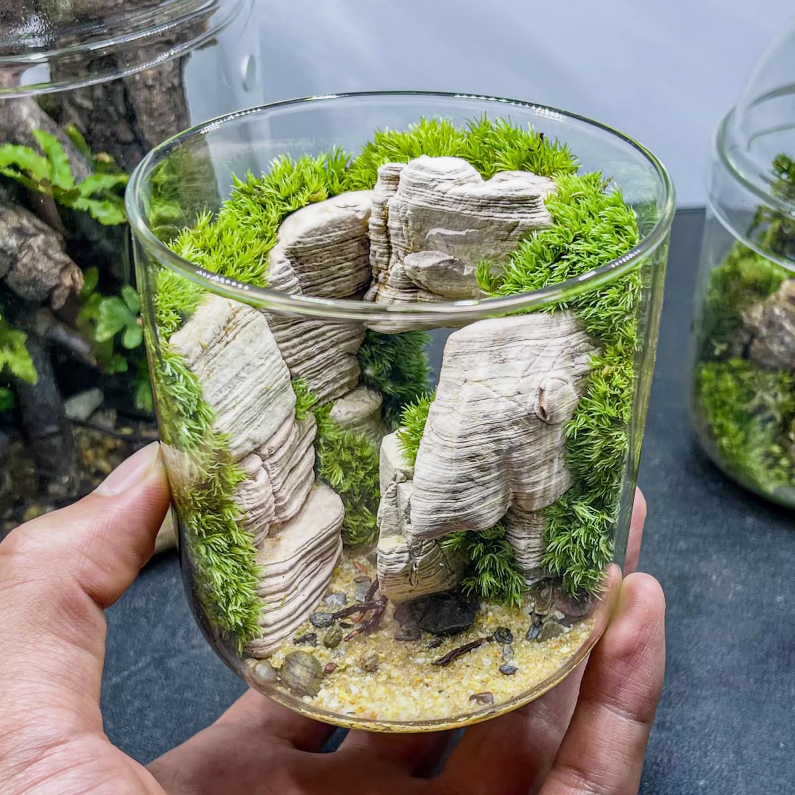 KINGRUI decorative stones brighten planters, succulents, and micro gardens.