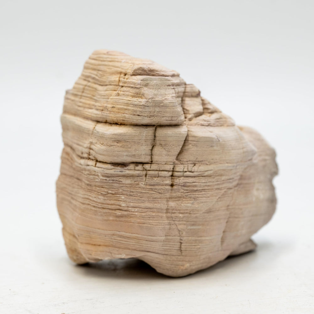 KINGRUI Pagoda Rocks ready-to-use, rinse and place in minutes.