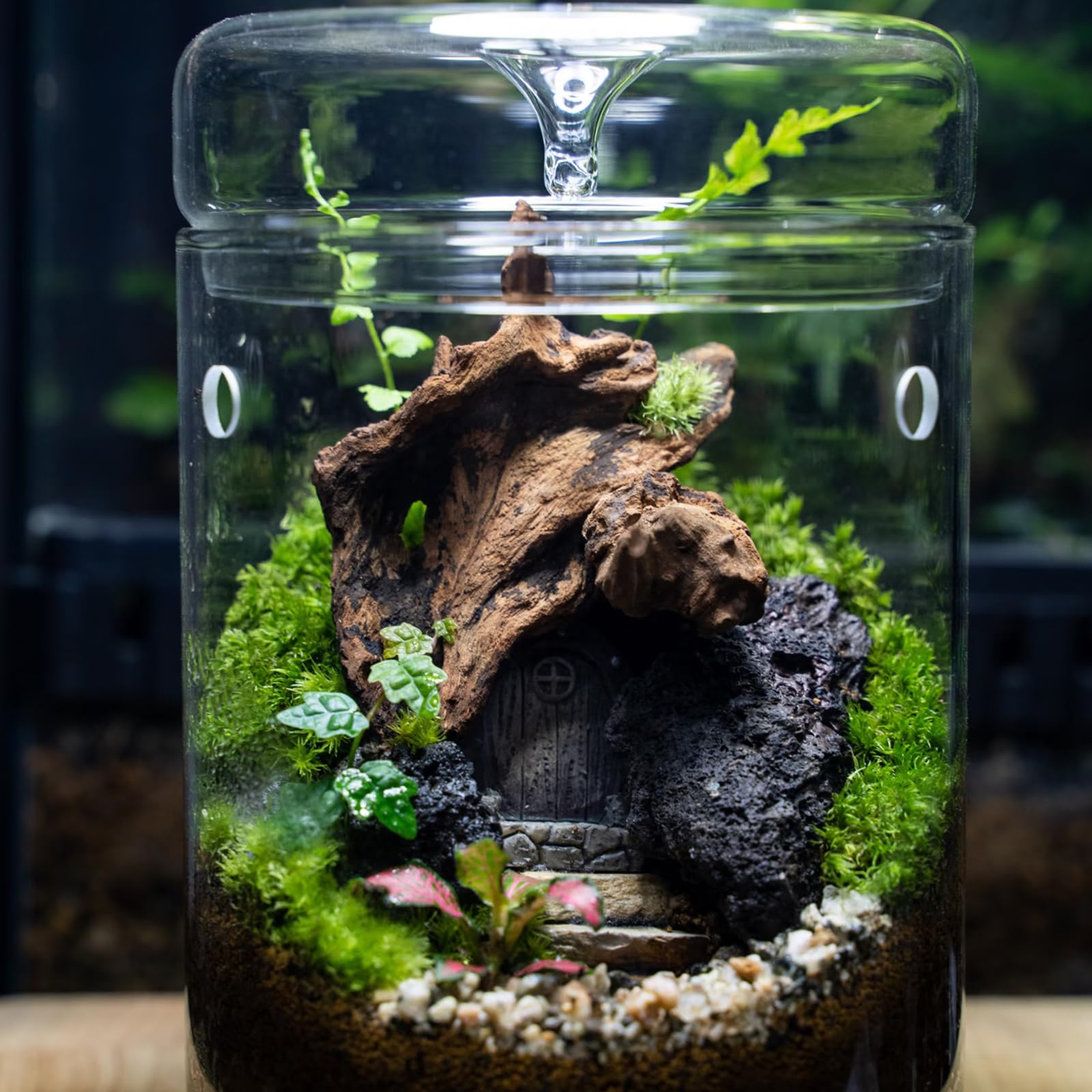 KINGRUI porous lava rock improves drainage and airflow in planters