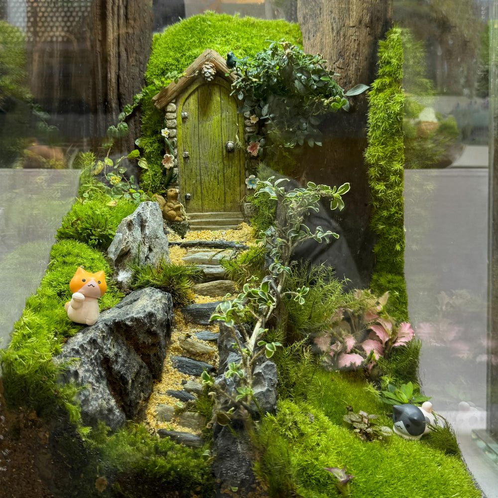 KINGRUI Seiryu stones improve planter drainage and airflow.