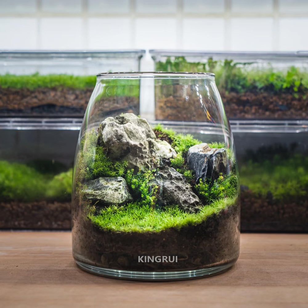 KINGRUI Seiryu rocks suit reptile terrariums and habitats.