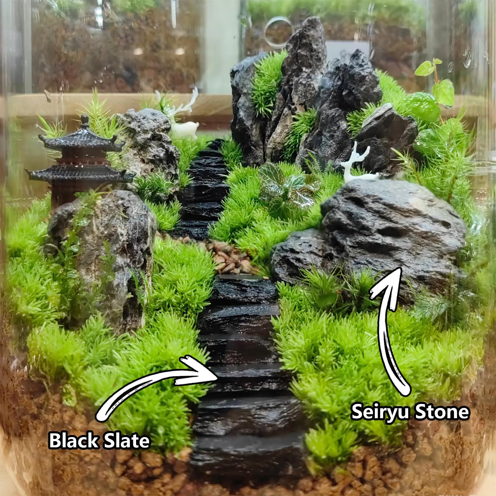 KINGRUI Seiryu stones rock path detail enhances miniature garden layouts