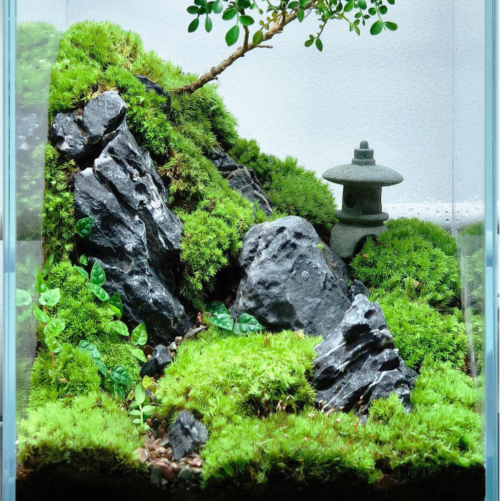 KINGRUI Seiryu stones succulent planter accent improves drainage and airflow