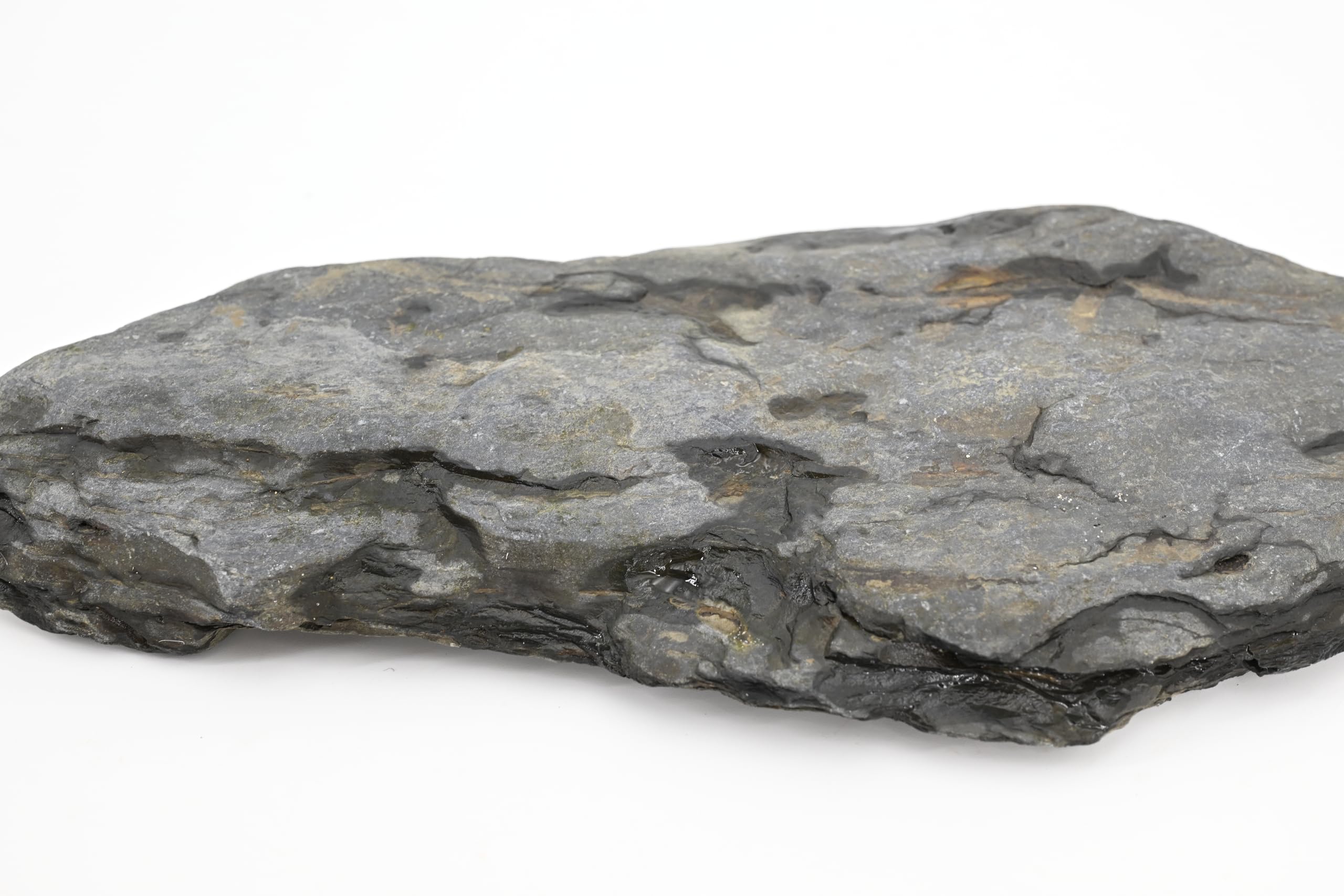 KingRUI natural slate rocks add safe hiding and grazing areas for shrimp