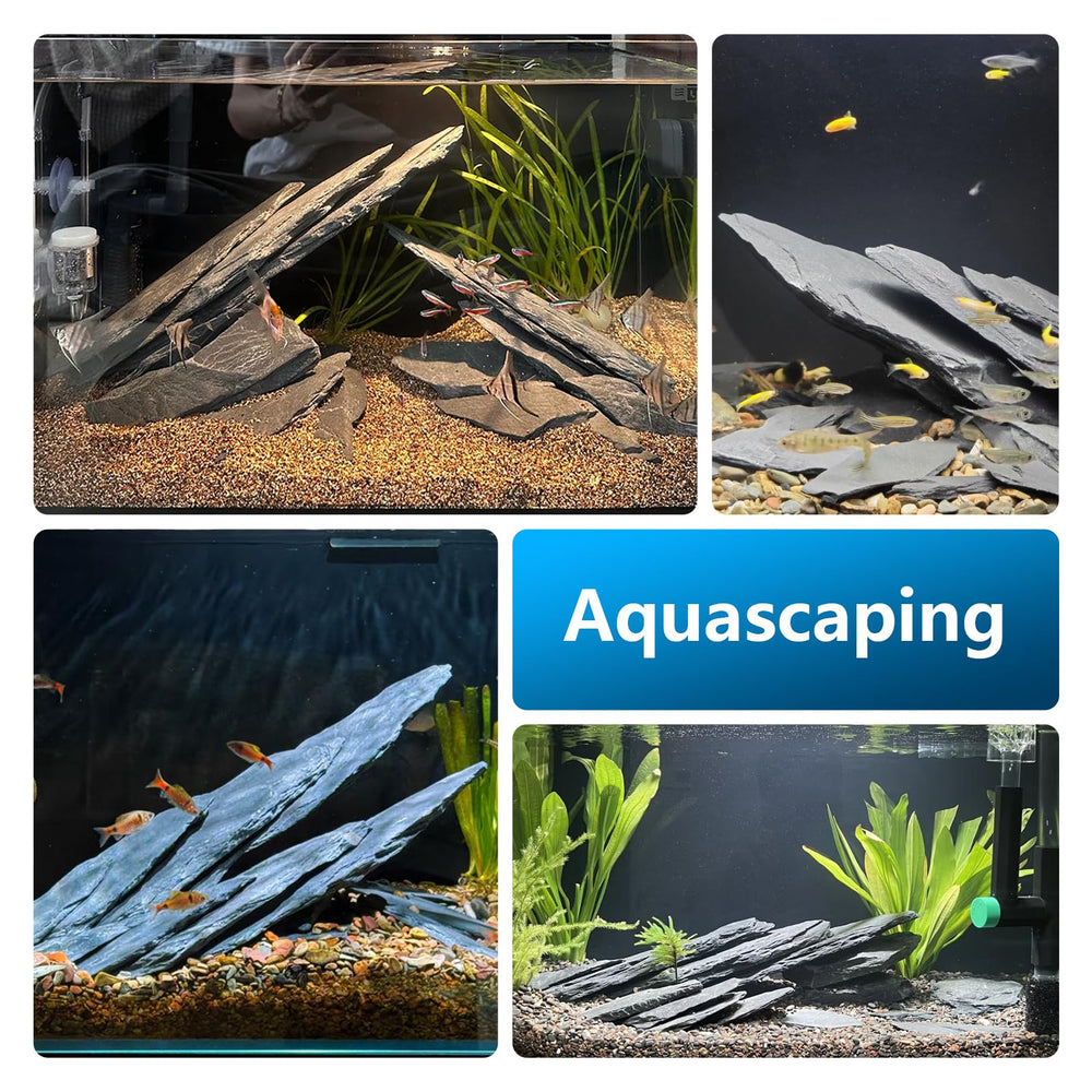 Kingrui textured slate plate adds natural texture to terrariums and paludariums.